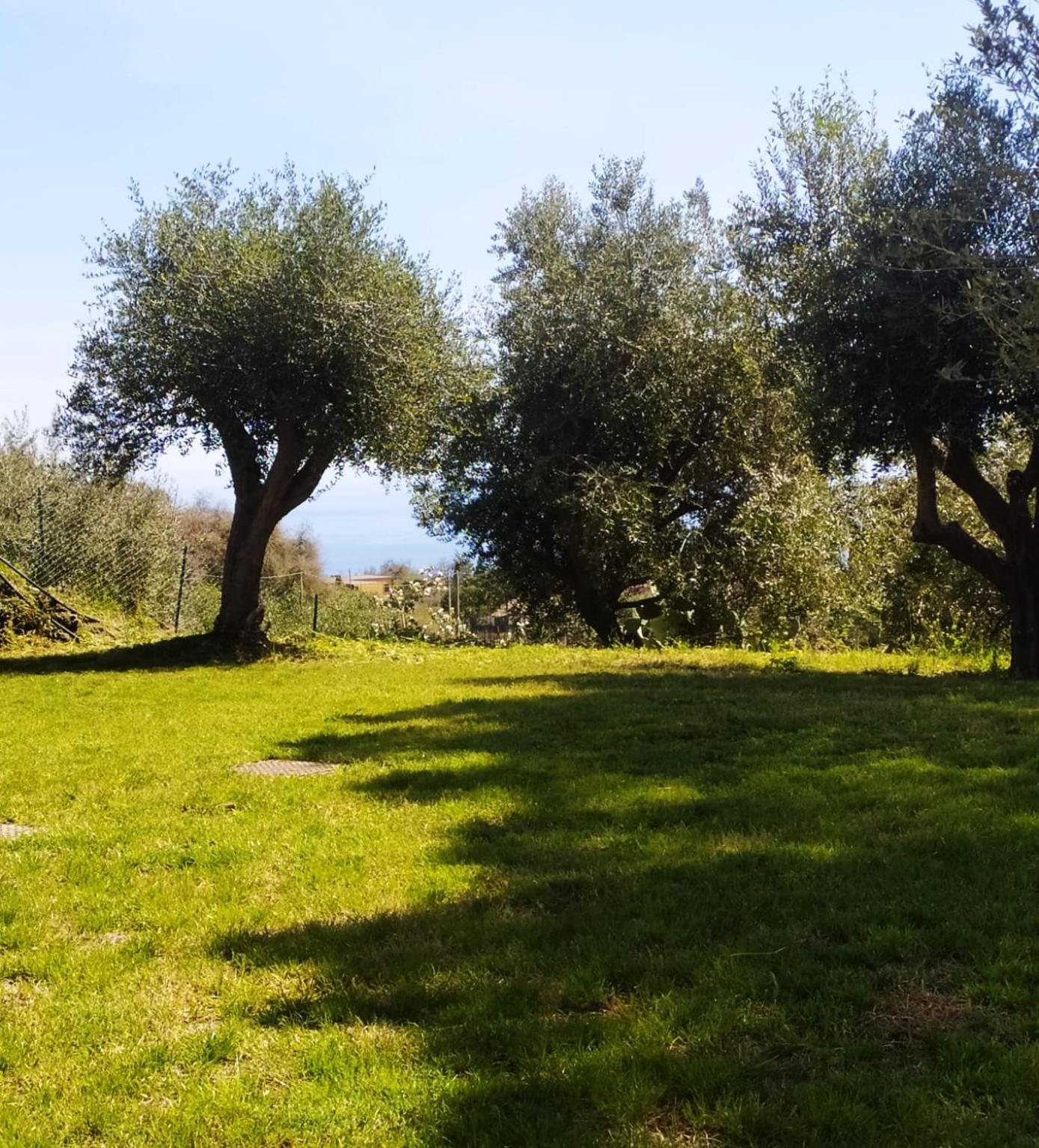 Tenuta Petronilla Santa Venerina Esterno foto